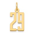thumbnail image 1 of 14K Yellow Gold Polished Finish Small Size Elongated Shape Number 29 Charm Pendant, 1 of 4