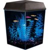 Aquarius Aquarium