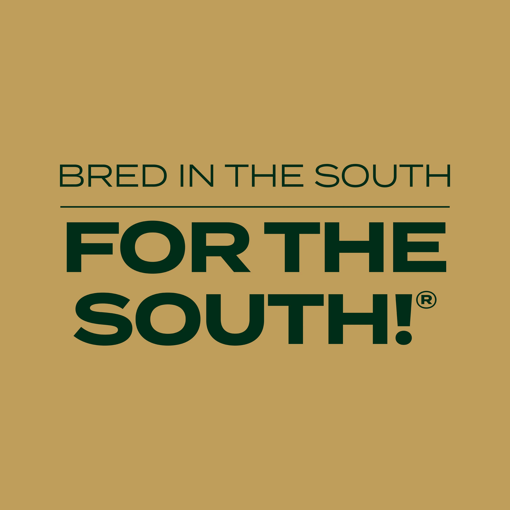 Scotts EZ Seed Patch & Repair Southern Gold Blend for Tall Fescue Lawns, 10 lbs.