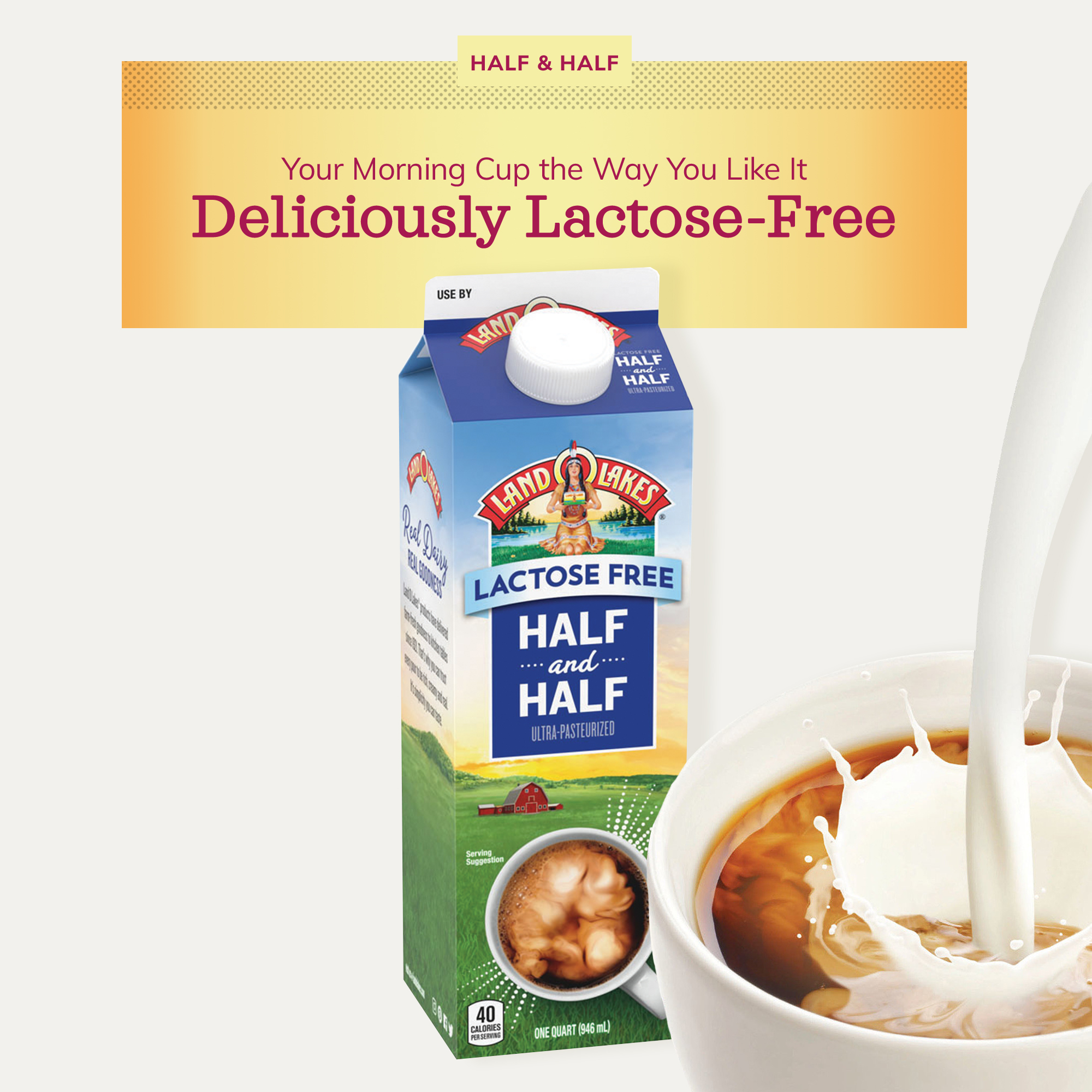 Land O Lakes Lactose Free Half&Half, 1 Quart - Walmart.com - Walmart.com Land O Lakes Lactose Free Half&Half, 1 Quart - Walmart.com - Walmart.com