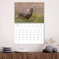 thumbnail image 3 of White-tailed eagle in Poland (Monthly Wall Calendar 2026 16.5 x 23.4 (open)), CALVENDO 14 Month Calendar, 3 of 9