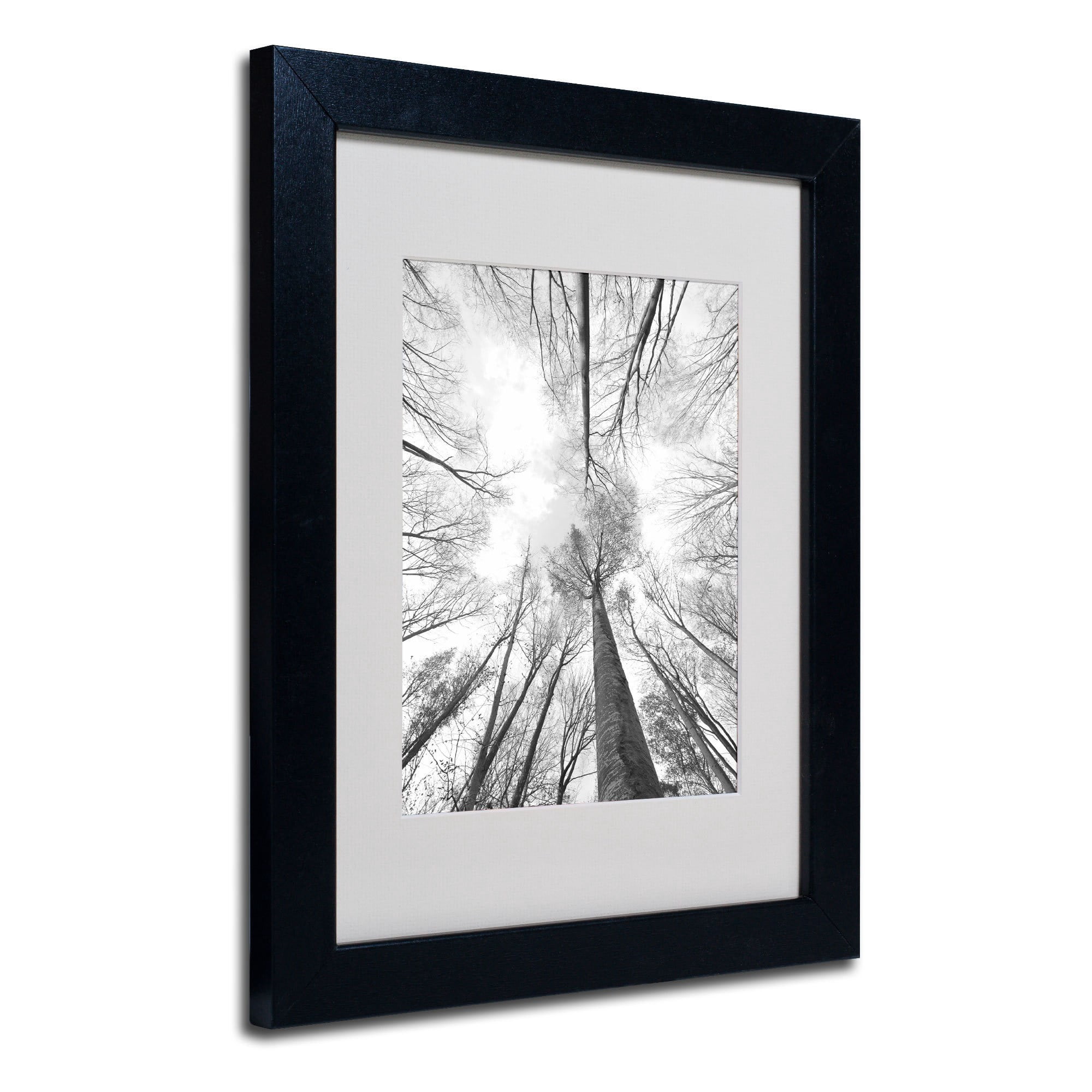 Trademark Fine Art "Recall the Days" Canvas Art by Philippe Sainte-Laudy, Black Frame