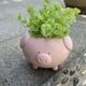 thumbnail image 5 of Bonita Maceta con Forma de Cerdito, Bonita Estatua de Resina, Decoración para El Jardín Del Hogar., 5 of 7