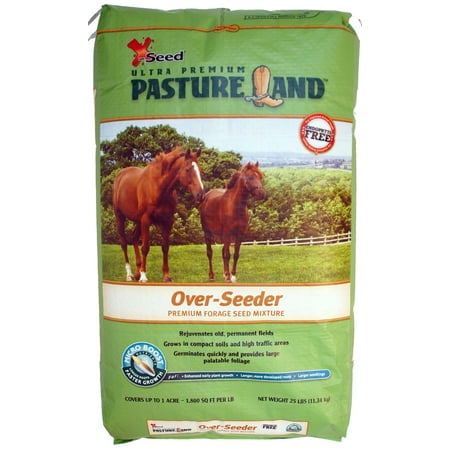 PASTURE OVERSEED 25# (Best Seed For Cattle Pasture)