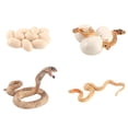 thumbnail image 2 of Juego de ciclo de vida de crecimiento de serpiente de simulación Juguetes educativos para el aula Wmkox8yii HAHFKSH1463, 2 of 4