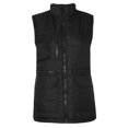thumbnail image 1 of Regatta Mens Steller Thermo-Guard Bodywarmer / Gilet, 1 of 4