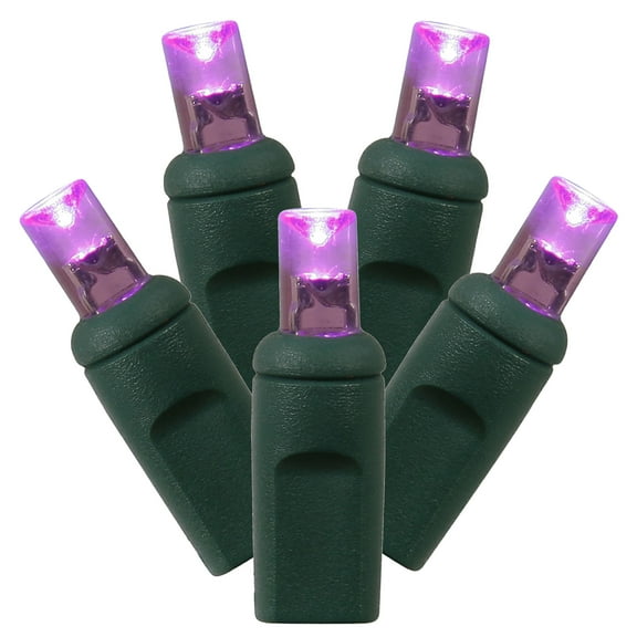Vickerman 70 Purple Wide Angle LED Single Mold light on Green Wire, 35' Christmas Light Strand