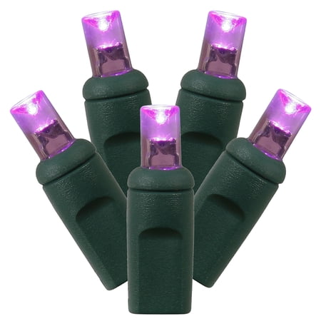 Vickerman 100 Purple Wide Angle LED Light on Green Wire  50  Christmas Single Mold Light Strand price history on PriceWatchPro