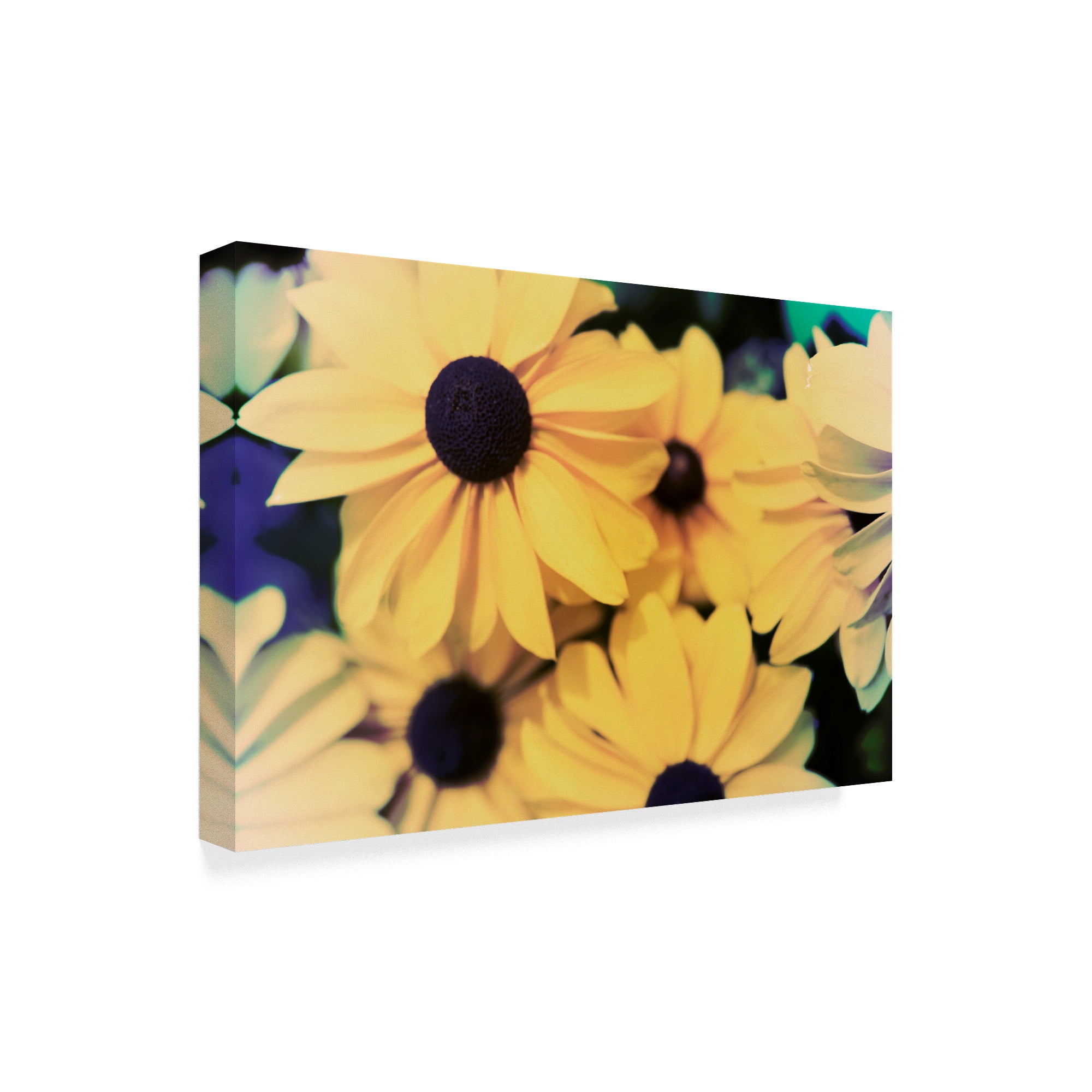 Trademark Fine Art 'Susans I' Canvas Art by Jason Johnson
