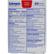 Salonpas Pain Relief Patches 60 ea - Pack of 1