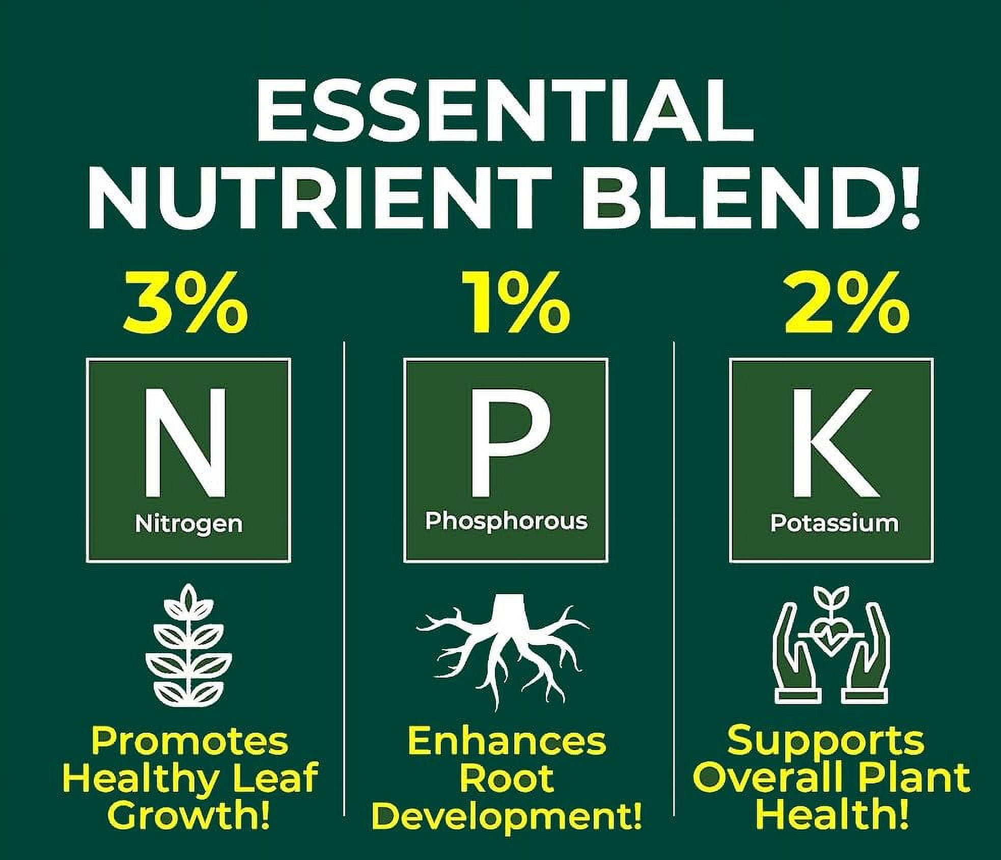 Premium Liquid CITRUS TREE Plant Fertilizer - 3-1-2 Concentrate for Indoor Plants and Flowers by Gardenera Labs | Organic Plant Food for CITRUS TREES - 32oz