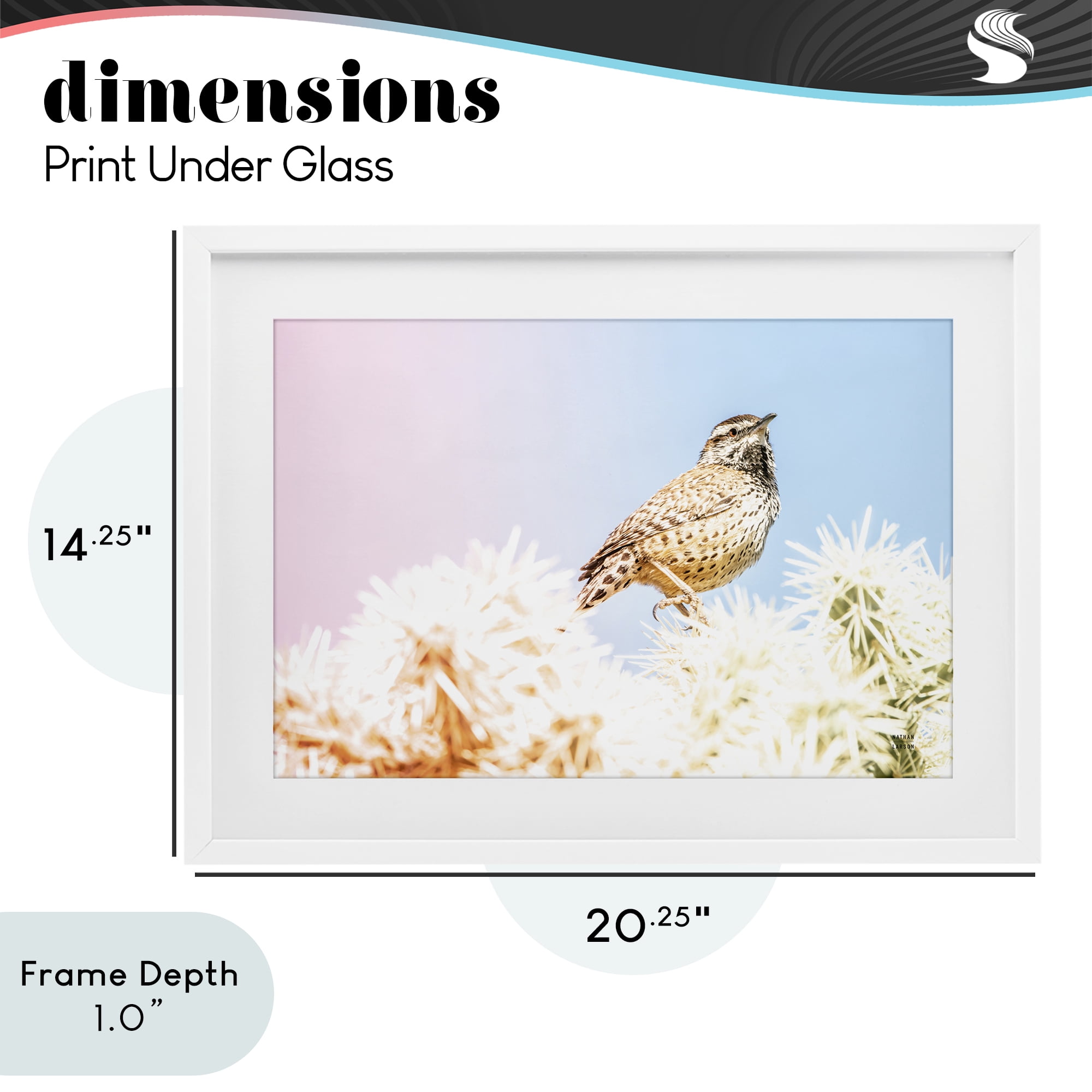 Stupell Industries Desert Song Bird White Framed Print Under Glass, design by Nathan Larson