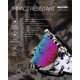 thumbnail image 4 of Gafas BATFOX Dirt Bike ATV Motocross UV400, 4 of 9