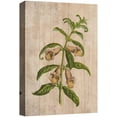 thumbnail image 3 of PixonSign Canvas Print Wall Art Wood Style Bell Flowers Floral Wildlife Illustrations Modern Art Traditional Relax/Calm Multicolor Pastel for Living Room, Bedroom, Office - 24"x36", 3 of 5
