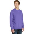 thumbnail image 4 of Port & Company Pigment Dyed Crewneck Sweatshirt-4XL (Amethyst), 4 of 6
