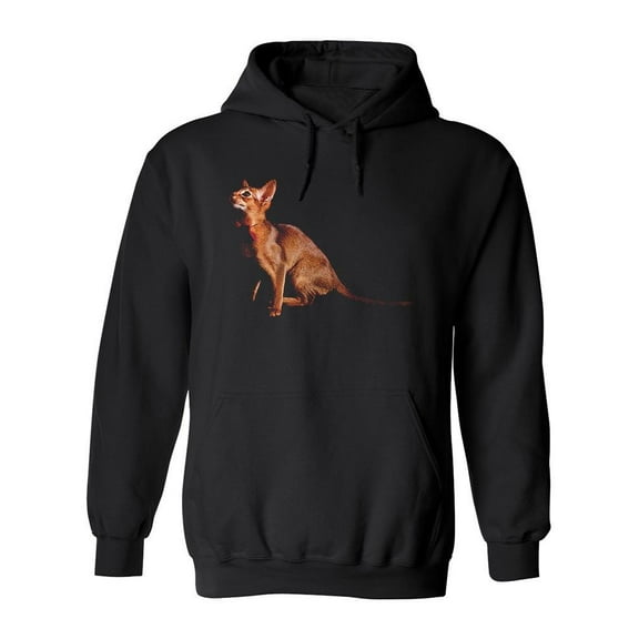 Abyssinian Cat About To Pounce Hoodie Men -Image by Shutterstock, Male x-Large