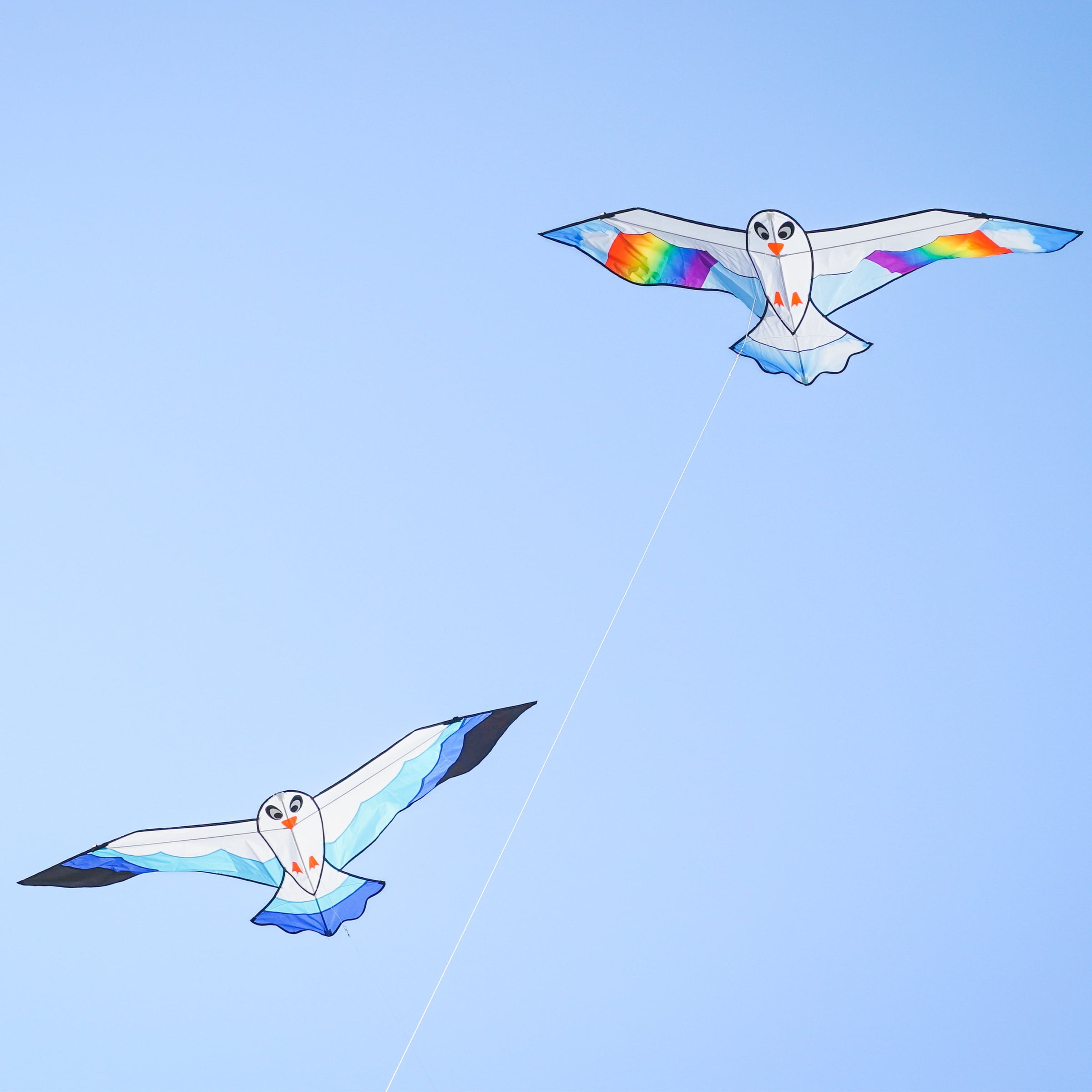In the Breeze 3378 — 70-inch Blue Seabird Kite — Colorful, Easy-Flying, Single-Line Bird Kite; Kite Line Included
