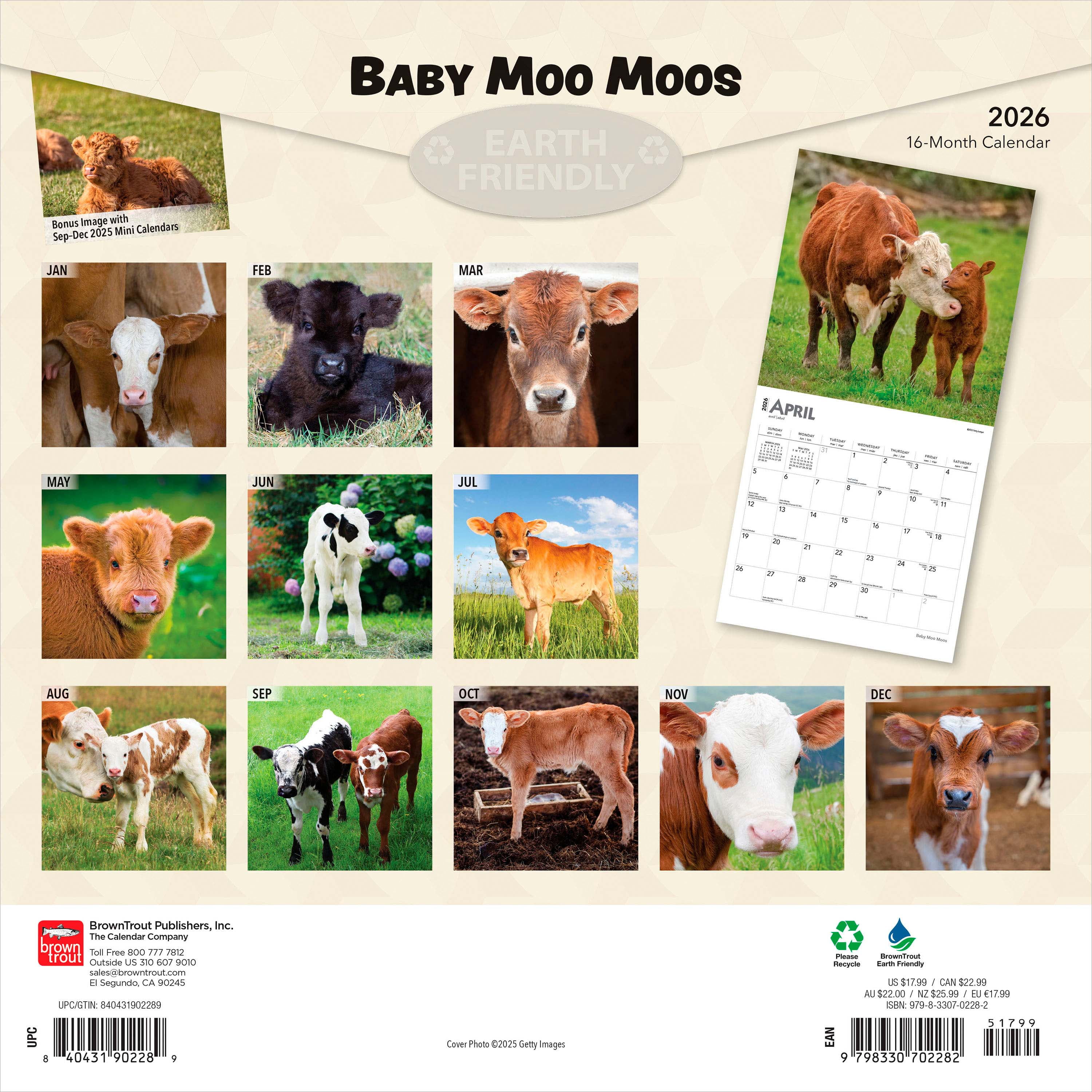 Baby Moo Moos 2026 Square Flap