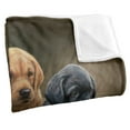 thumbnail image 3 of Wild Wings Puppies Silky Touch Super Soft Throw Blanket 36" x 58", 3 of 6