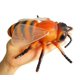 thumbnail image 2 of Figuras de insectos simuladas grandes, juguete, truco de broma de Halloween, modelo educativo para niños, 6 uds., 2 of 2