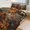 chudan-3, variant on Duvet Cover Queen Size Guitar Skeleton Rock 3 Pcs Duvet Cover Set Bedding Sets Queen Soft Breathable