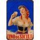 thumbnail image 1 of Letrero Hojalata Metal Vintage para Pintura Hierro Rectangular Pared Y Bar 20x30cm, 1 of 9
