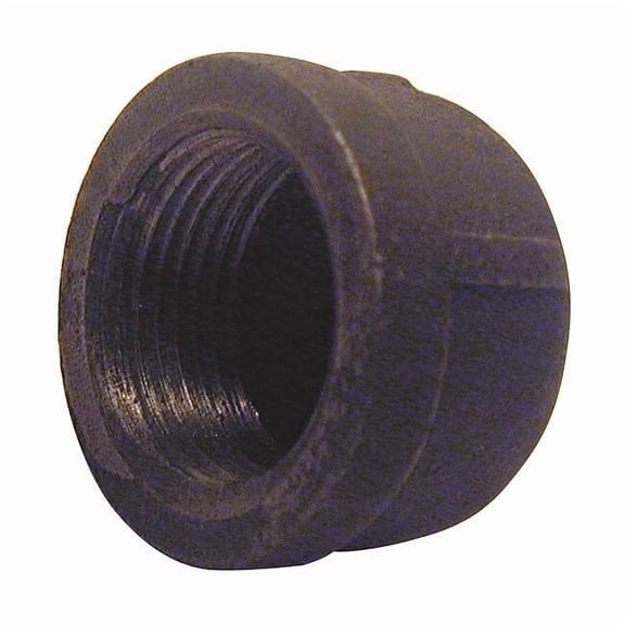 Manufacturer Varies Cap Cap, 1/4" Pipe, FNPT, Malleable Iron, 150 5P532