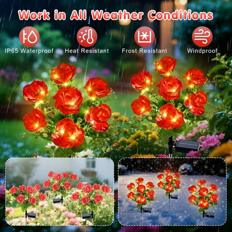 Qoosea Solar Rose Lights, 2 Pack 7 Head Red Flowers photo 3