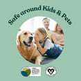 thumbnail image 6 of Absolute Green All Purpose Cleaner, Multi-Use , Safe around Kids + Pets, Natural Peppermint Scent, 25 oz, 6 of 7