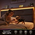 thumbnail image 3 of Queen Size Bed Frame with Headboard & Charging Station & LED Lights Upholstered Bed Frame with Storage Platform Wood Bed, 3 of 7