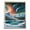 F, variant on Riforla Moon Painting Kits for Adults 5D Beach Art Kits for Beginners DIY Full Round Drill Seaside Paint with Dots Home Wall 15.75 X 11.81 Inch Painting Supplies A