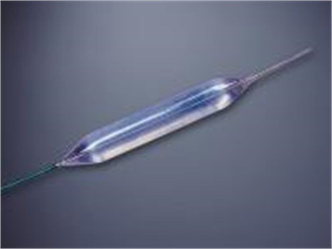 Cook Quantum TTC Balloon Dilator Esophageal, 16Mm, 48Fr, Each Model