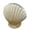 A, variant on Sea Shell Home Decor, Coastal Beach Decorations for Home Bathroom Ocean Seashell Decor Series for Home Beach Decor Theme Party Favors (Without Drainage Hole) 11.5 Inch