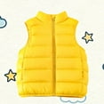 thumbnail image 2 of Jinhomg Toddler Boys Girls Puffer Vest Kids Sleeveless Winter Warm Softshell Quilted Padded Puffer Down Vest Ultra Light Waistcoat Jacket, 2 of 7