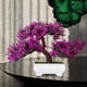 thumbnail image 3 of Árbol de Bonsái Artificial Sunnimix Decoración Hogar Jardín Oficina Púrpura Rojo, 3 of 7