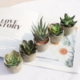 thumbnail image 5 of 5 Pack Potted Fake Succulents Pot Artificial Simulation Plants Sets for Home Kitchen Garden Office Wedding Party Room Decor Gift, 5 of 9