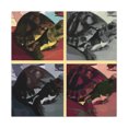 thumbnail image 1 of Box Turtle Boxometry - Canvas, 1 of 10