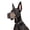 Yellow, variant on Dog Muzzle for Small Large Dogs - Soft Nylon Basket Muzzle with Adjustable Strap, Breathable Mesh Design Prevents Biting Chewing Licking Eating - Ideal for Training, Grooming & Vet Visits (Yellow, M)