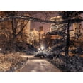 thumbnail image 2 of Frank, Assaf 18x15 Black Ornate Wood Framed with Double Matting Museum Art Print Titled - Evening view of Central Park in New York City, 2 of 4