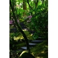 thumbnail image 2 of Moore, Brian 11x14 Black Ornate Wood Framed with Double Matting Museum Art Print Titled - Garden Stairs II, 2 of 4