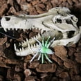 thumbnail image 2 of Aquarium Decorations Environments Skull Cave Resin Artificial Skeleton Head, 2 of 7