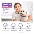 thumbnail image 3 of Collar Calmante De Feromonas Para Perros,3paquetes,ajustable, 3 of 7