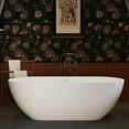 thumbnail image 5 of Resenkos Freestanding Soaking Bathtub, Bathtub, 59" Freestanding Soaking Bathtub with Overflow and Pop-up Drain for Contemporary Bathroom, Matte White, 5 of 12