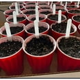 thumbnail image 2 of EcoNesxp 100 9 Inch Plant Markers Thick Plant Tags Garden Tags 6 Inch Plant Markers, 2 of 3