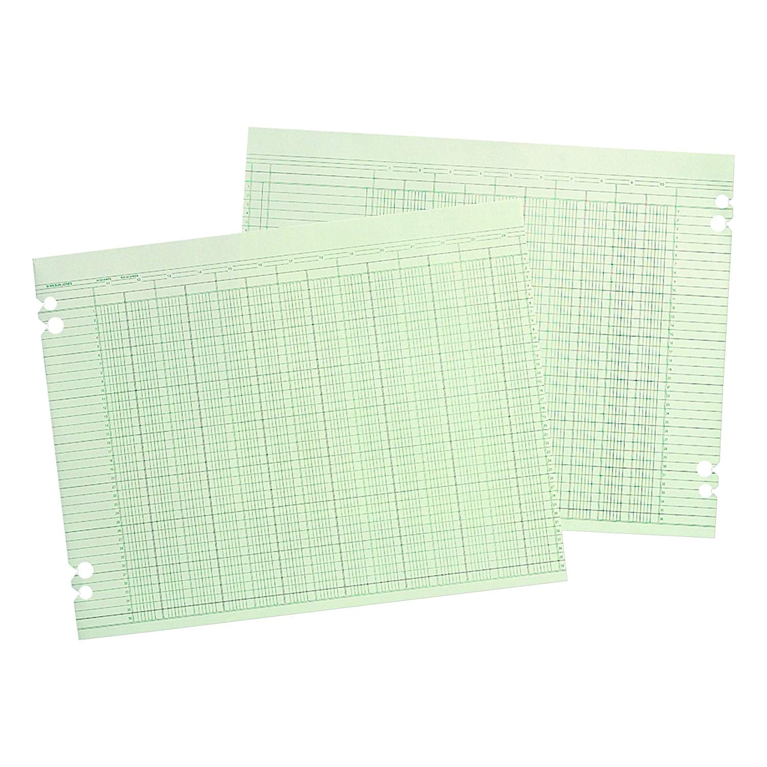 G1020 Accounting Sheets, 20 Column, 91/4 x 117/8, Green (Pack of 100