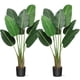 thumbnail image 1 of Yeshouse paquete de 2 plantas artificiales de hojas de plátano con maceta, 122 cm, ideales para decoración de interiores, sala de estar, hogar y oficina, 1 of 8