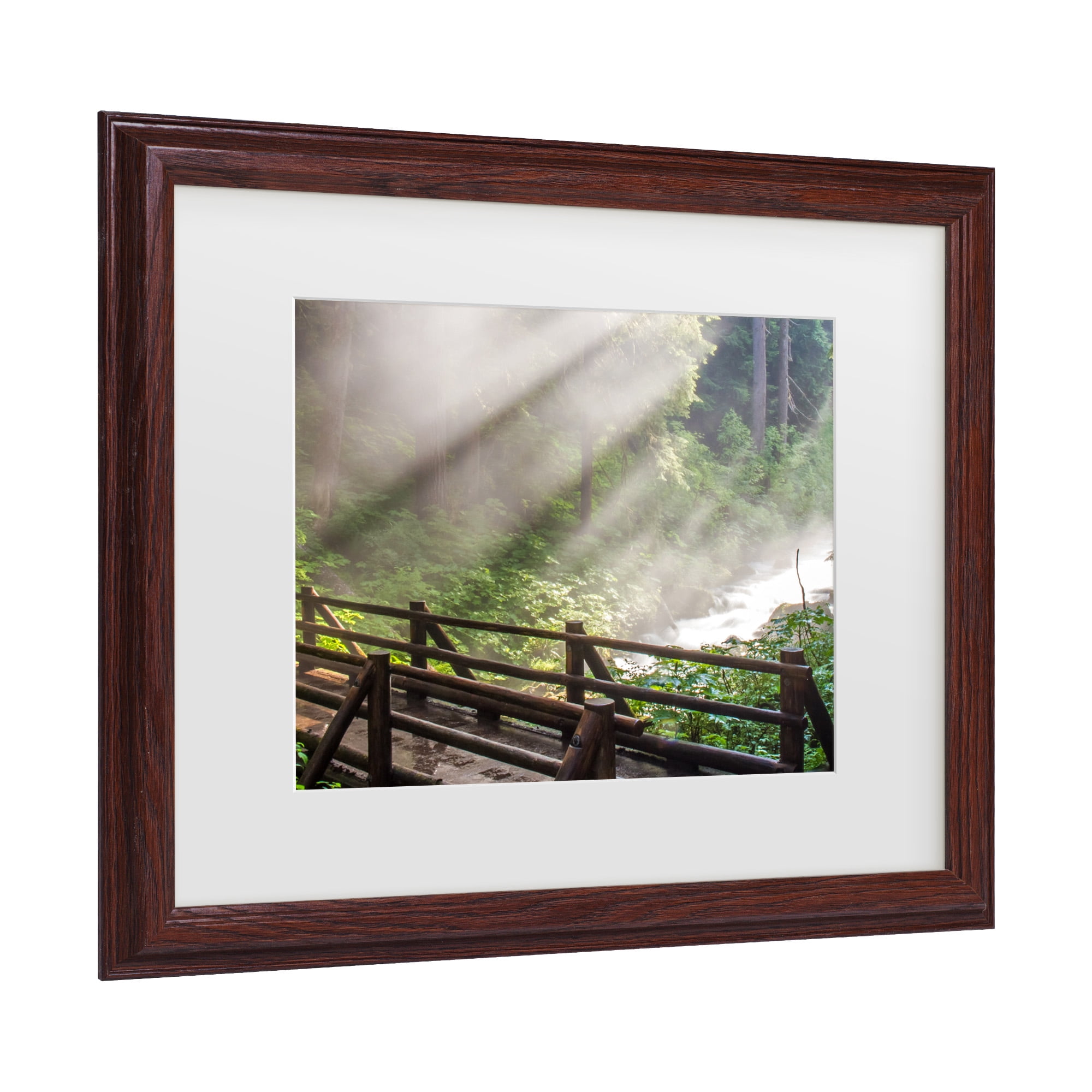 Trademark Fine Art 'Forest Sunlight' Canvas Art by Pierre Leclerc