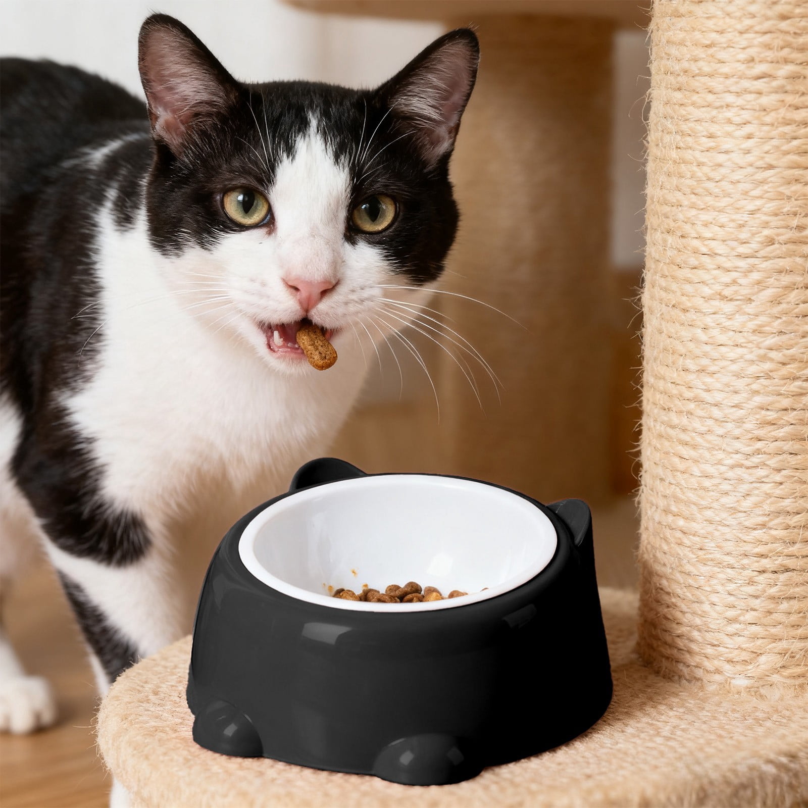 Elevated Raised Cat Food Bowl, 250ml Large Capacity Black Plastic Pet Bowl, Neck Protective Whisker-Friendly Non-Tipping Feeding & Drinking Bowl for Cats
