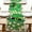 Top Hat, variant on St Patricks Day Shamrock Table Runner, Lucky Clover Irish Kitchen Dining Table Decoration, Spring Gold Coins Burlap Indoor Outdoor Home Decor Party Supply 13 x 36 Inches