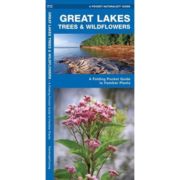 Regional Nature Guides: Great Lakes Trees & Wildflowers: A Folding Pocket Guide to Familiar Species (Other)